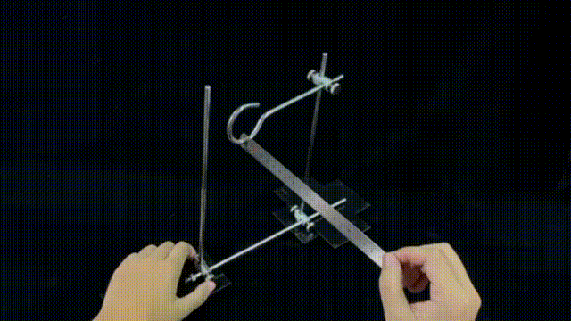 1657594491032002690.gif 1.gif